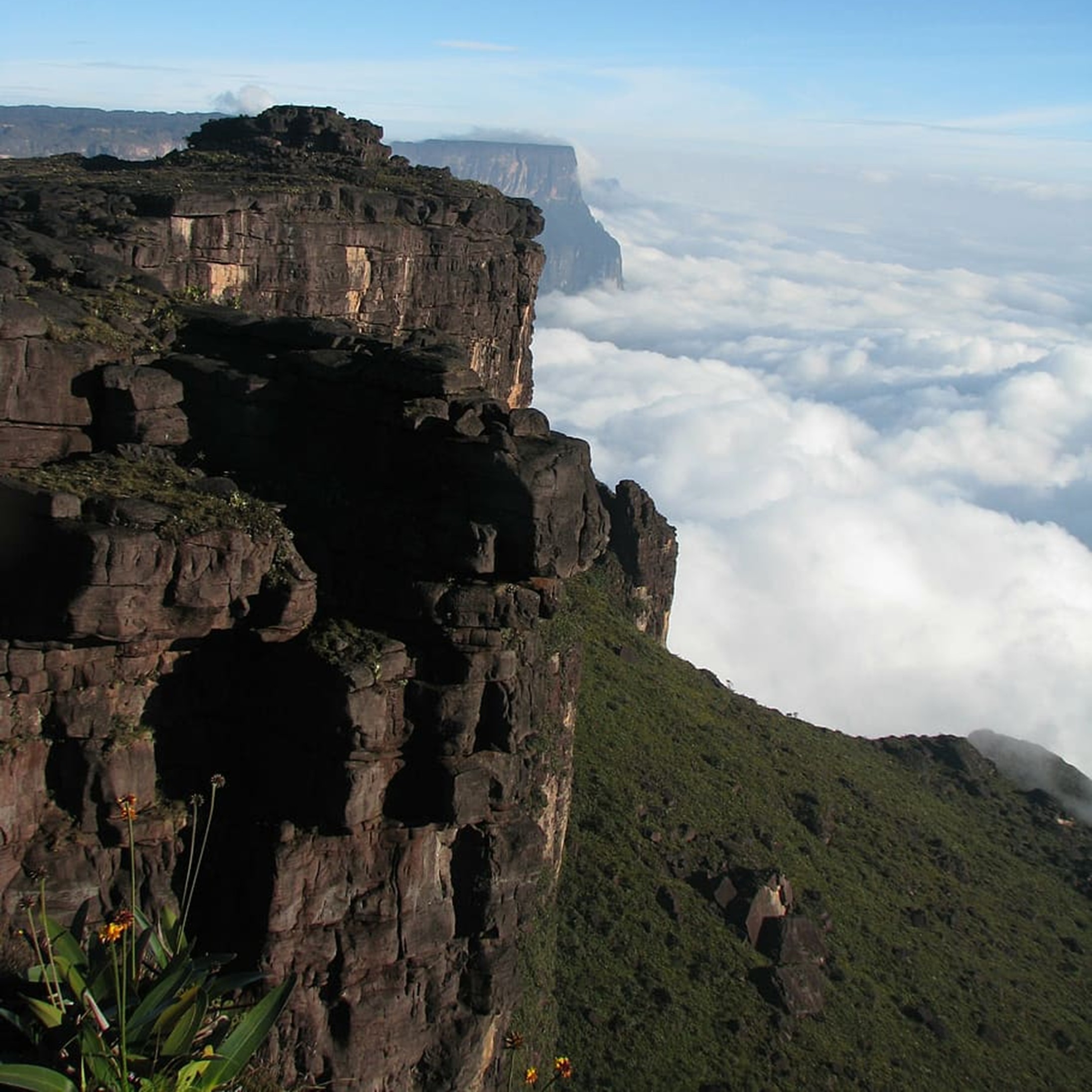 Canaima 
