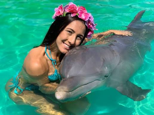 Nado con Delfines