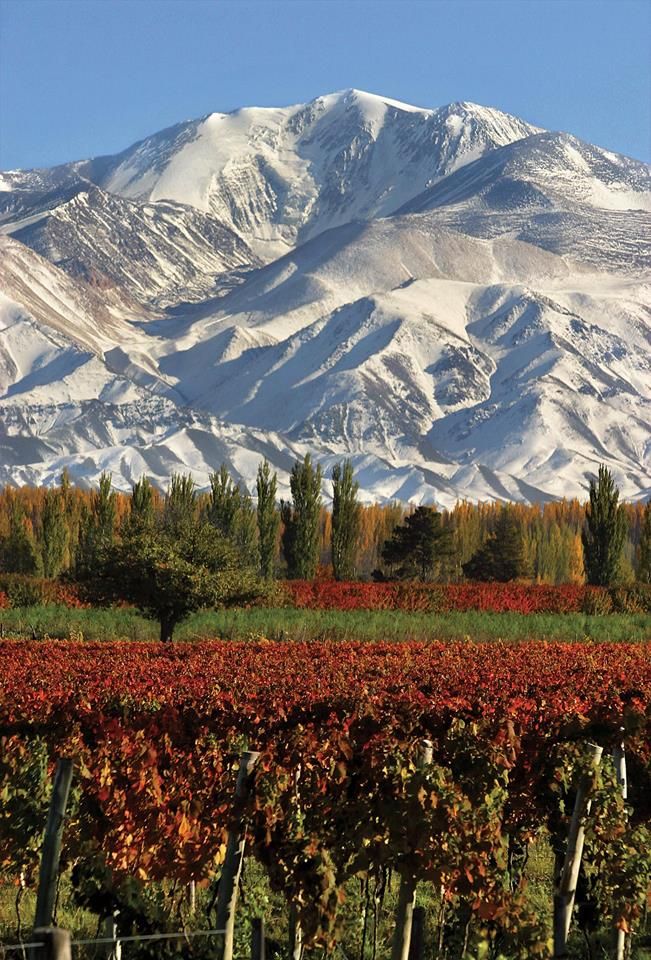 Mendoza