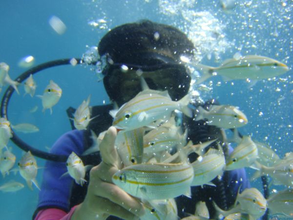 Submarinismo Los Frailes