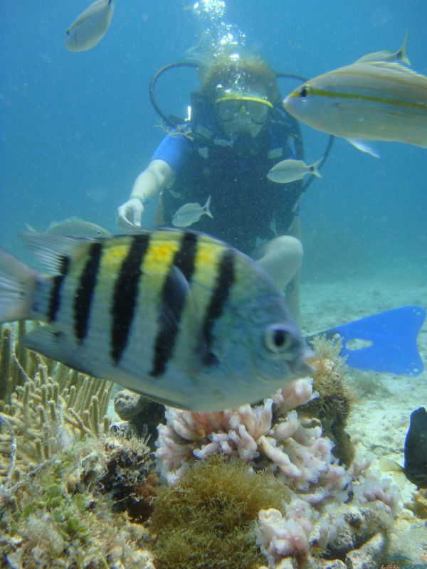Submarinismo Los Frailes