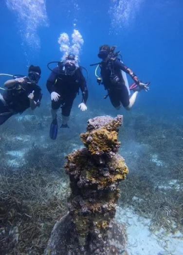 Buceo Farallón Pampatar